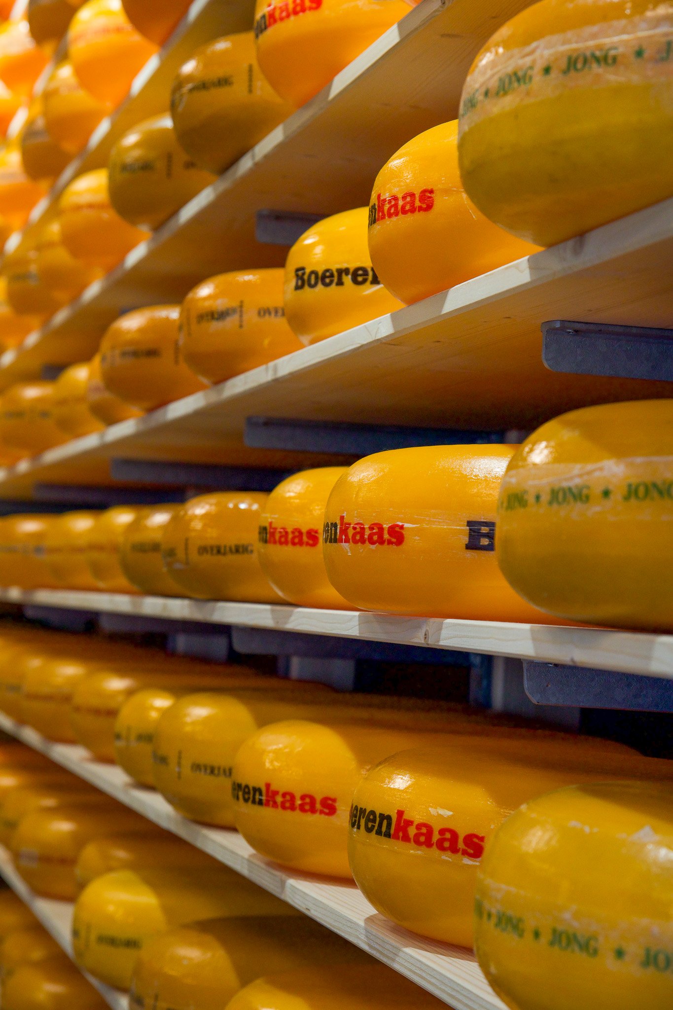 Wand vol kaaswielen bij Kaaspakhuis Delfzijl